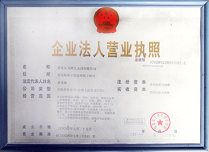 營(yíng)業(yè)執(zhí)照